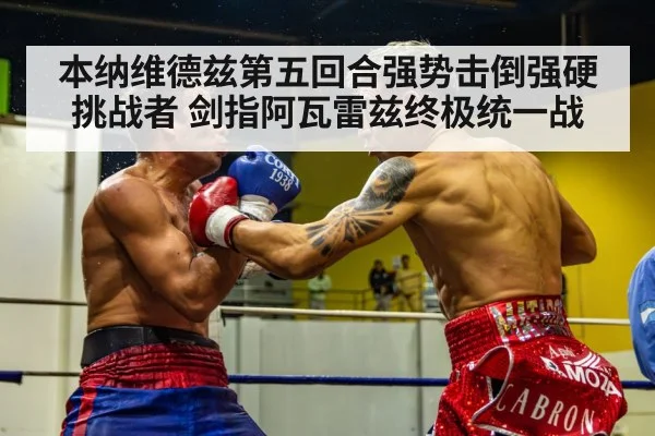 本纳维德兹第五回合强势击倒强硬挑战者 剑指阿瓦雷兹终极统一战